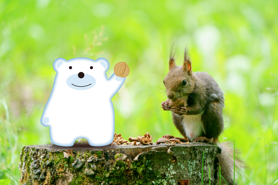 火災共済付帯保険